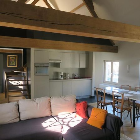 B&B / Studio De Druivelaar In Hartje Kluisbergen ภายนอก รูปภาพ